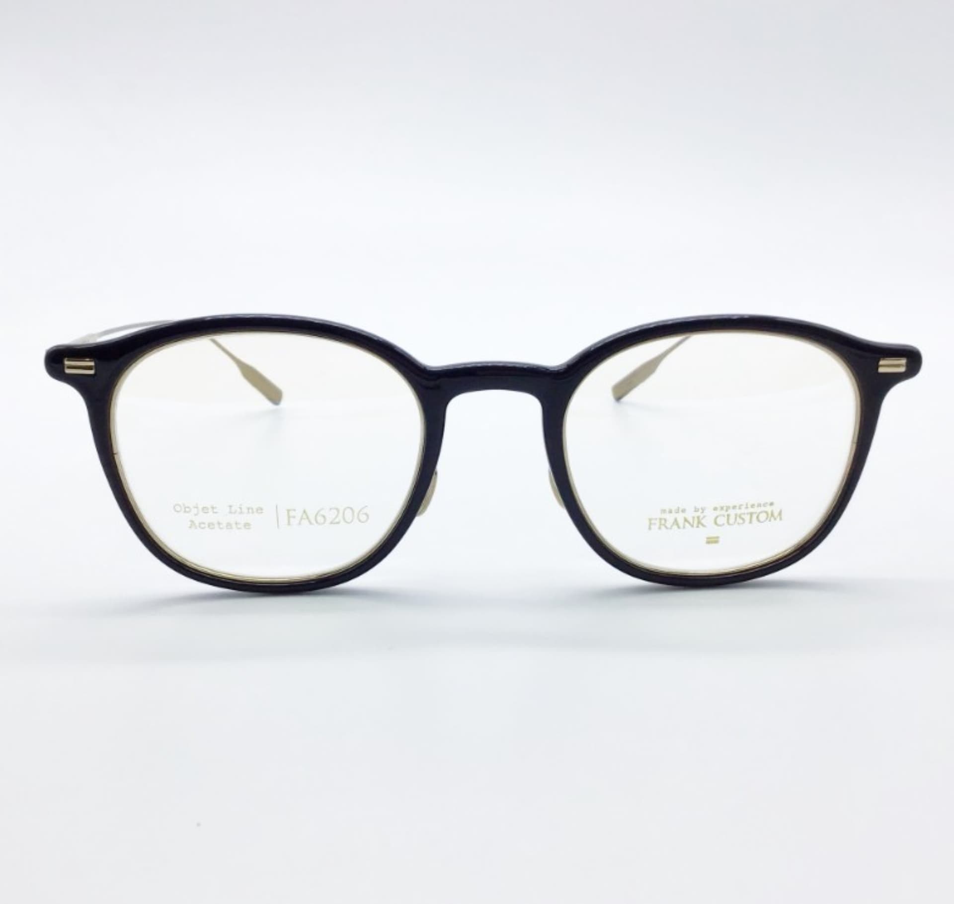 Frank Custom FA6206